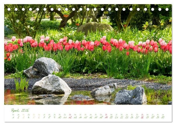 Produktbild: Kreislehrgarten in Steinfurt (Tischkalender 2026 DIN A5 quer), CALVENDO Monatskalender