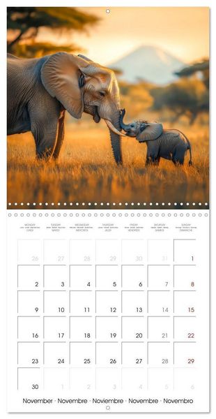 Produktbild: Baby Elephant Adventures (Wall Calendar 2026 12 &times; 12 Inch) CALVENDO 12 Month Wall Calendar