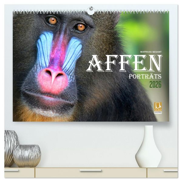Produktbild: AFFENPORTR&Auml;TS (hochwertiger Premium Wandkalender 2026 DIN A2 quer), Kunstdruck in Hochglanz