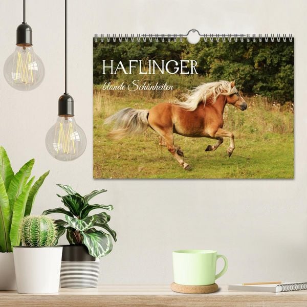 Produktbild: Haflinger - blonde Sch&ouml;nheiten (Wandkalender 2027 DIN A4 quer), CALVENDO Monatskalender