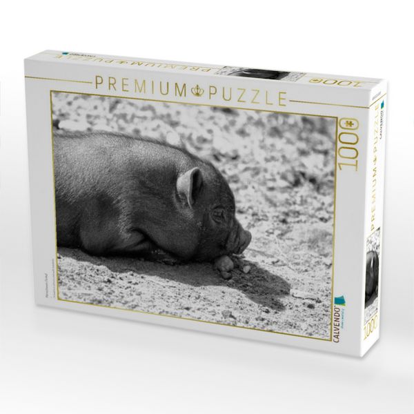 Produktbild: CALVENDO Puzzle Minischwein Ferkel | 1000 Teile Lege-Gr&ouml;&szlig;e 64x48cm Foto-Puzzle f&uuml;r gl&uuml;ckliche Stunden