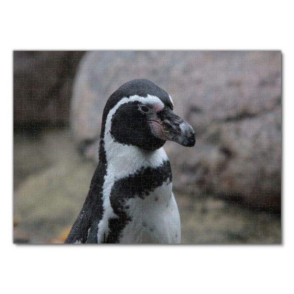 Produktbild: Lais Puzzle Humboldt Pinguin 500 Teile