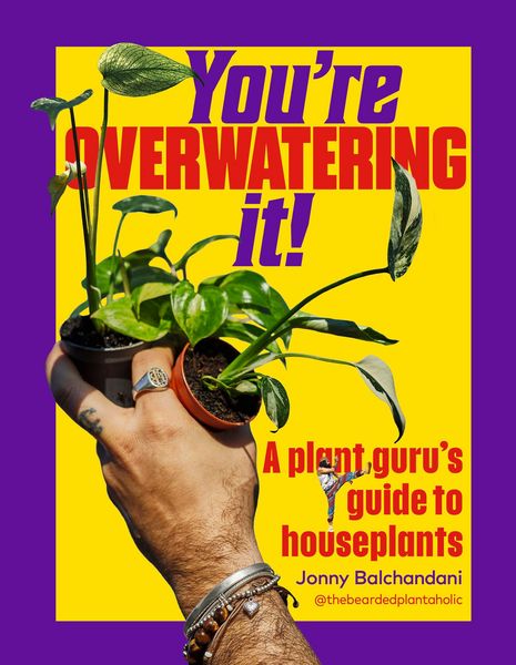 Produktbild: You're Overwatering It!