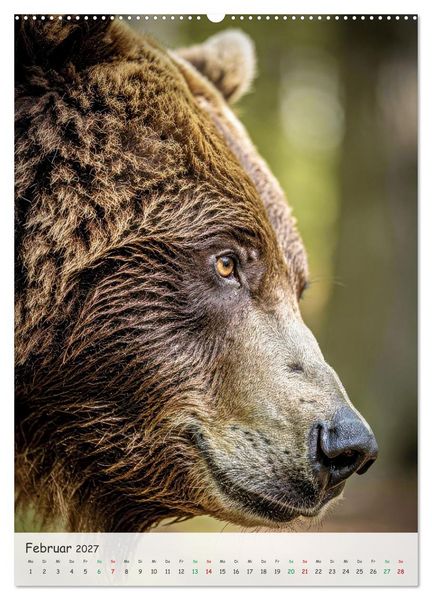 Produktbild: Grizzlyb&auml;ren und Lachse (Wandkalender 2027 DIN A2 hoch), CALVENDO Monatskalender