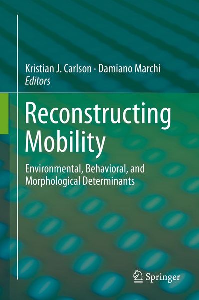Produktbild: Reconstructing Mobility