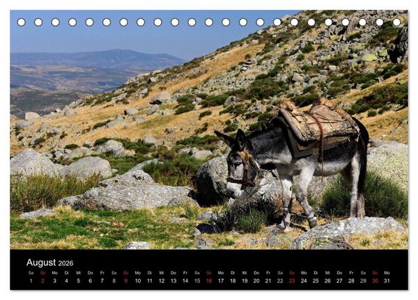 Produktbild: Spanien (Tischkalender 2026 DIN A5 quer), CALVENDO Monatskalender