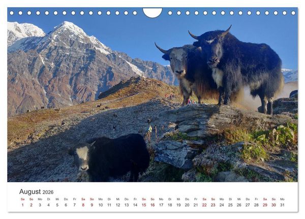 Produktbild: Nepal - Eine bezaubernde Reise nach Asien. (Wandkalender 2026 DIN A4 quer), CALVENDO Monatskalender