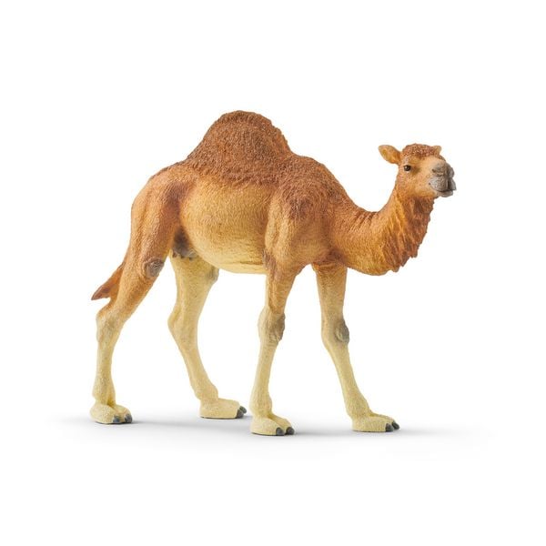 Produktbild: schleich&reg; 14832 Dromedar