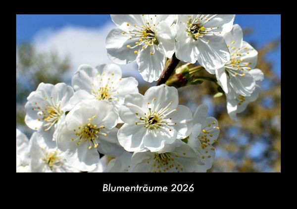 Produktbild: Blumentr&auml;ume 2026 Fotokalender DIN A3