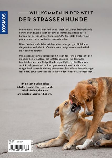 Produktbild: Die geheime Welt der Straßenhunde