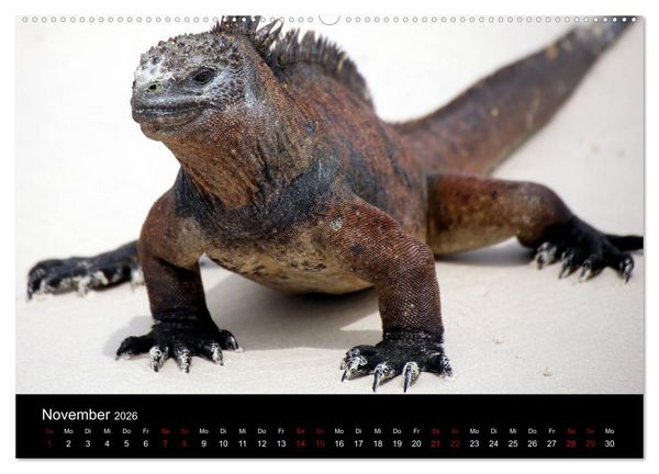 Produktbild: Ama la Vida Ecuador (Wandkalender 2026 DIN A2 quer), CALVENDO Monatskalender