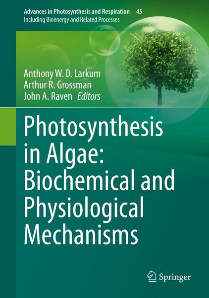 Produktbild: Photosynthesis in Algae: Biochemical and Physiological Mechanisms