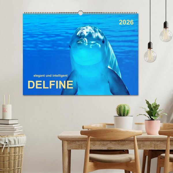 Produktbild: Delfine - elegant und intelligent (Wandkalender 2026 DIN A2 quer), CALVENDO Monatskalender