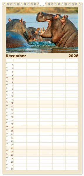 Produktbild: Familienplaner 2026 - Flusspferde - gem&uuml;tlich gef&auml;hrlich mit 5 Spalten (Wandkalender, 21 x 45 cm) CALVENDO
