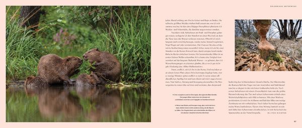Produktbild: Wilde Elbe