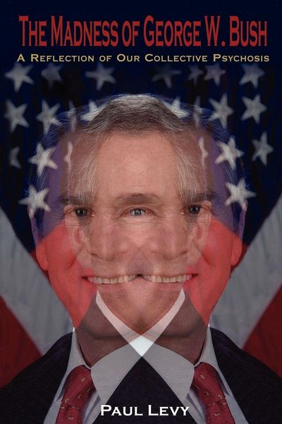 Produktbild: The Madness of George W. Bush