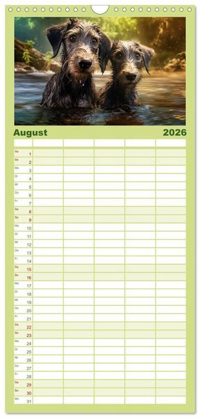 Produktbild: Familienplaner 2026 - Lurcher Portraits - Zwei Welpen entdecken die Welt mit 5 Spalten (Wandkalender, 21 x 45 cm) CALVENDO