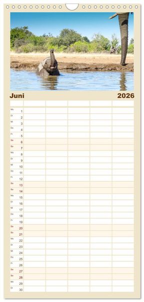 Produktbild: Familienplaner 2026 - Babyelefanten mit 5 Spalten (Wandkalender, 21 x 45 cm) CALVENDO