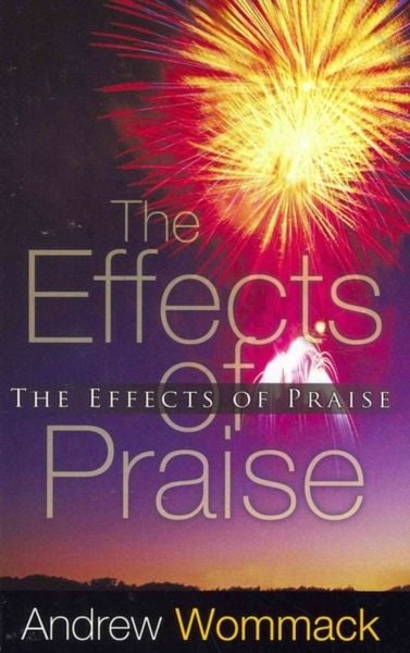Produktbild: The Effects of Praise