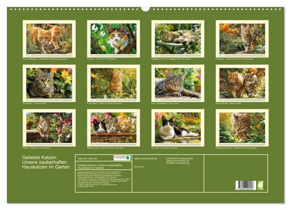 Produktbild: Geliebte Katzen. Unsere zauberhaften Hauskatzen im Garten (Wandkalender 2026 DIN A2 quer), CALVENDO Monatskalender