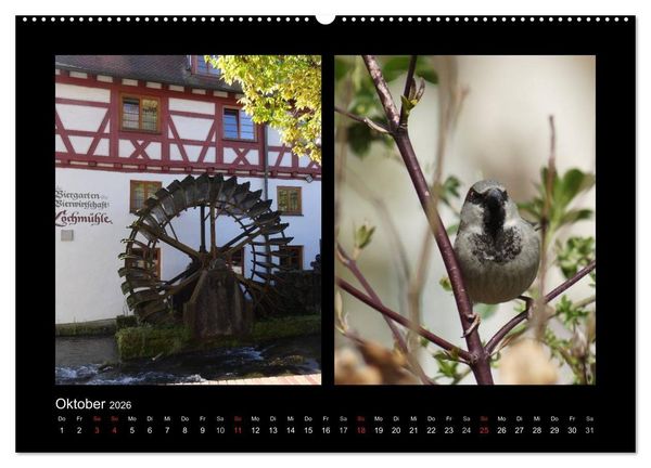 Produktbild: Ulmer Spatzen (Wandkalender 2026 DIN A2 quer), CALVENDO Monatskalender