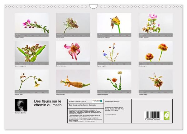 Produktbild: Des fleurs sur le chemin du matin (Calendrier mural 2026 DIN A3 vertical), CALVENDO calendrier mensuel