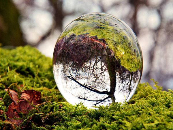 Produktbild: CALVENDO Puzzle Ein Motiv aus dem Kalender Wunderbare Waldkugeln | 1000 Teile Lege-Gr&ouml;&szlig;e 64x48cm Foto-Puzzle f&uuml;r gl&uuml;ckliche Stunden