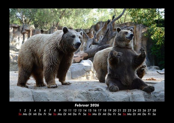 Produktbild: Der Tierkalender 2026 Fotokalender DIN A3