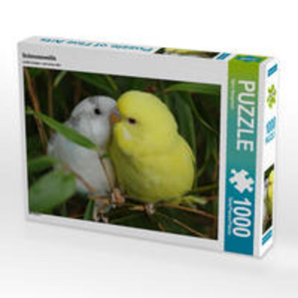 CALVENDO Puzzle Schmusewellis | 1000 Teile Lege-Größe 64x48cm Foto-Puzzle für glückliche Stunden