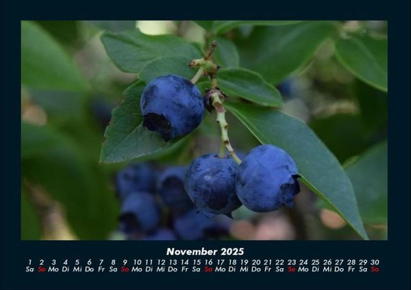 Produktbild: Obstkalender 2025 Fotokalender DIN A4