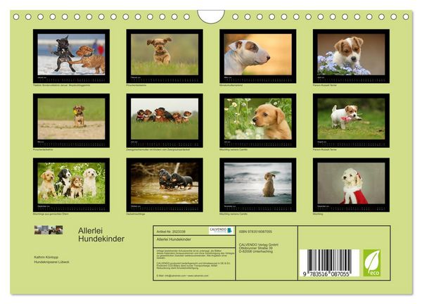 Produktbild: Allerlei Hundekinder (Wandkalender 2026 DIN A4 quer), CALVENDO Monatskalender