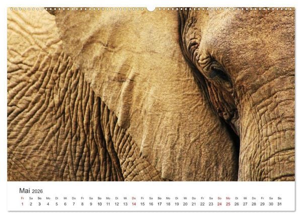 Produktbild: Bezauberndes S&uuml;dafrika (Wandkalender 2026 DIN A2 quer), CALVENDO Monatskalender