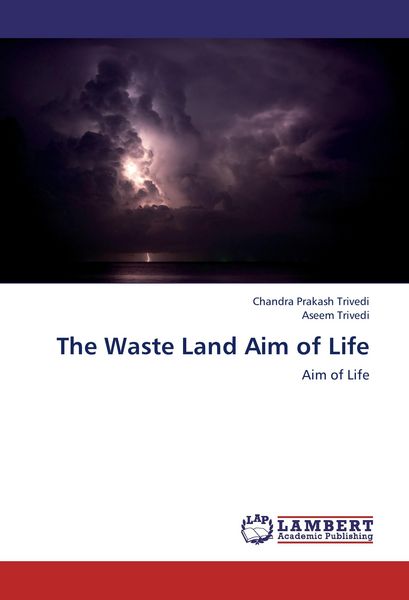 Produktbild: The Waste Land Aim of Life