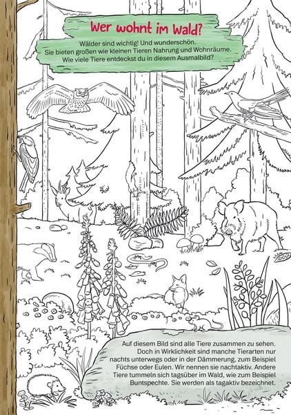 Produktbild: Conni Gelbe Reihe (Besch&auml;ftigungsbuch): Tierischer Mal- und Bastelspa&szlig;