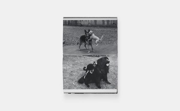 Produktbild: Hunde lieben