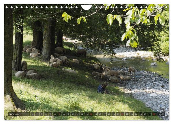 Produktbild: Unterwegs in und um Kronstadt (Wandkalender 2026 DIN A4 quer), CALVENDO Monatskalender