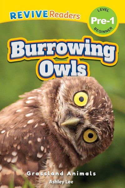Produktbild: Burrowing Owls