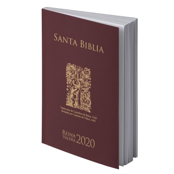 Spanisch Reina Valera 2020, Taschenbuch von , Deutsche Bibelgesellschaft, 978-3-438-08324-1