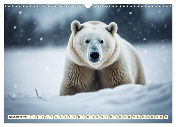 Produktbild: Eisb&auml;ren im Fokus (Wandkalender 2026 DIN A3 quer), CALVENDO Monatskalender