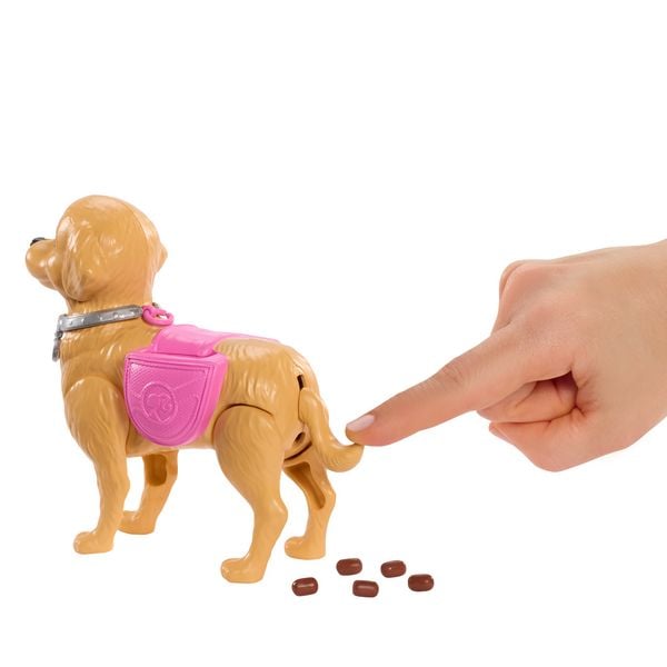 Produktbild: Barbie Hundespaziergang Spielset mit Puppe