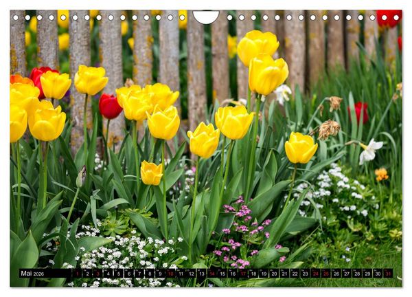 Produktbild: Kleine Blumen ganz gro&szlig; (Wandkalender 2026 DIN A4 quer), CALVENDO Monatskalender