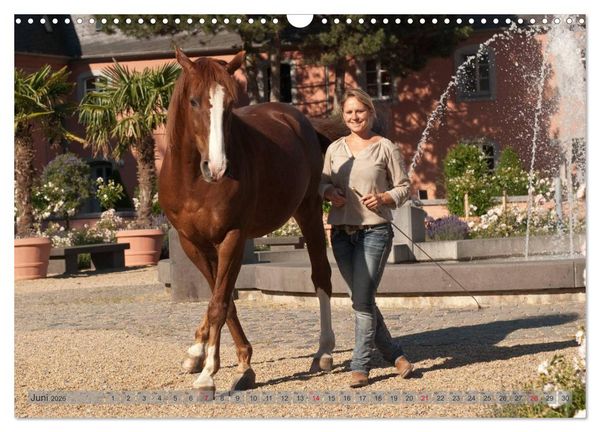 Produktbild: Natural Horsemanship - Partnerschaft mit Pferden (Wandkalender 2026 DIN A3 quer), CALVENDO Monatskalender