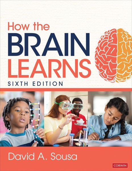 Produktbild: How the Brain Learns
