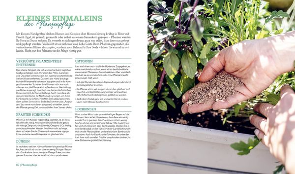 Produktbild: Mein kreativer Stadtbalkon &ndash; DIY-Projekte und G&auml;rtnerwissen pr&auml;sentiert vom Garten Fr&auml;ulein