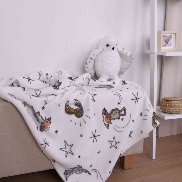 Produktbild: Harry Potter 1474402014 - Microfaserflausch-Decke, 75 x 100 cm, 100% Polyester