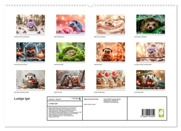 Produktbild: Lustige Igel (hochwertiger Premium Wandkalender 2026 DIN A2 quer), Kunstdruck in Hochglanz