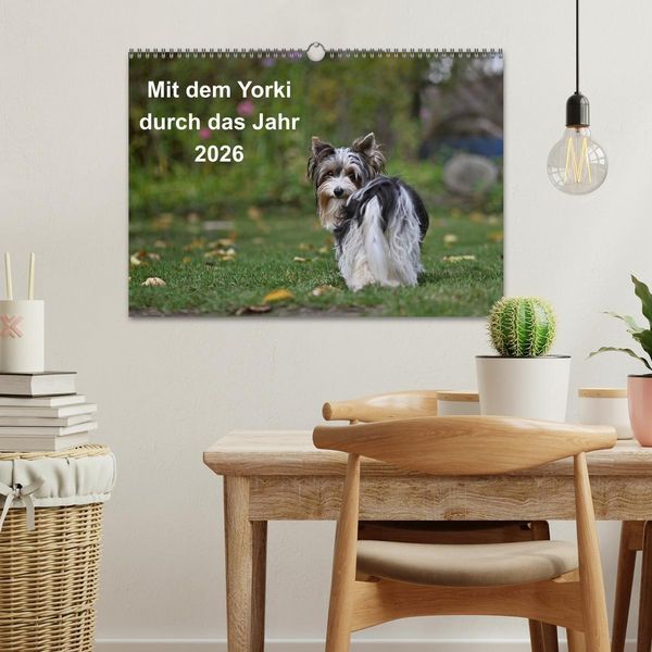 Produktbild: Mit dem Yorki durch das Jahr 2026 (Wandkalender 2026 DIN A3 quer), CALVENDO Monatskalender