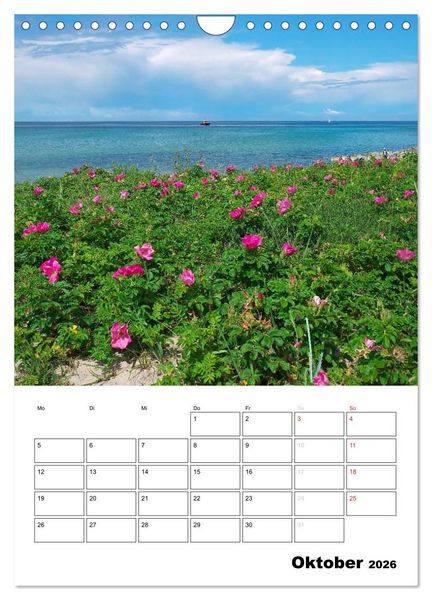 Produktbild: R&uuml;gen und Hiddensee - Bilder eines Sommers / Planer (Wandkalender 2026 DIN A4 hoch), CALVENDO Monatskalender
