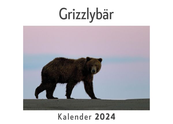 Produktbild: Grizzlyb&auml;r (Wandkalender 2024, Kalender DIN A4 quer, Monatskalender im Querformat mit Kalendarium, Das perfekte Geschenk)