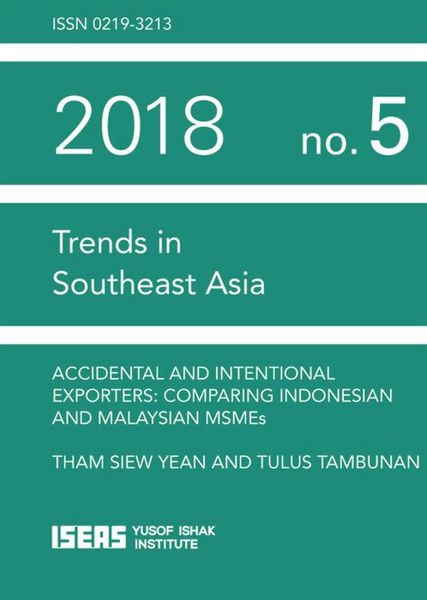 Produktbild: Accidental and Intentional Exporters